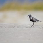 探讨中文字幕乱码现象及其解决方法 mks5mhkkx